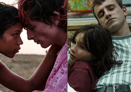 Amores canibales y lazos familiares en el cine Por Martín Imer