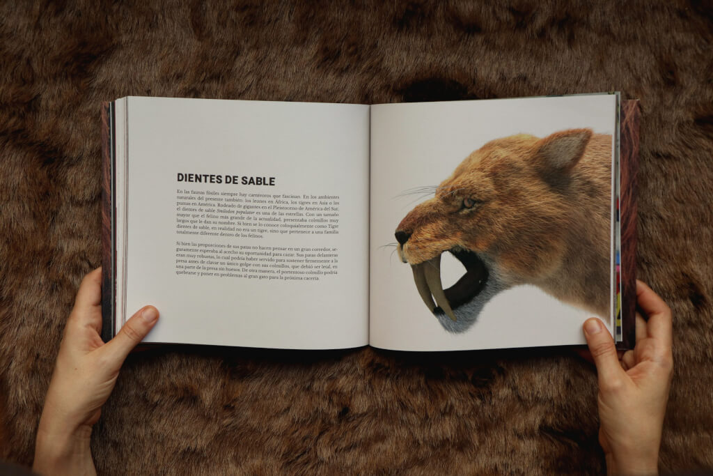 Megafauna 3D: Un libro de huesos